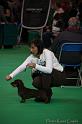 Crufts2011_2 697